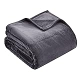 Thesis Fleece Blanket Twin Blanket for Bed Iron