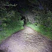tansoren 4000 lumens eagle eye