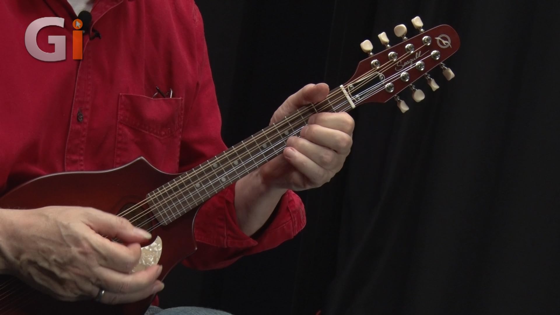 Seagull S8 マンドリン セミハードケース付き Watch Seagull S8 Mandolin SG review on Amazon Live