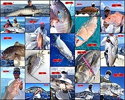 Assist Hooks Jigging Slow Fast Jigs Fishing jigs