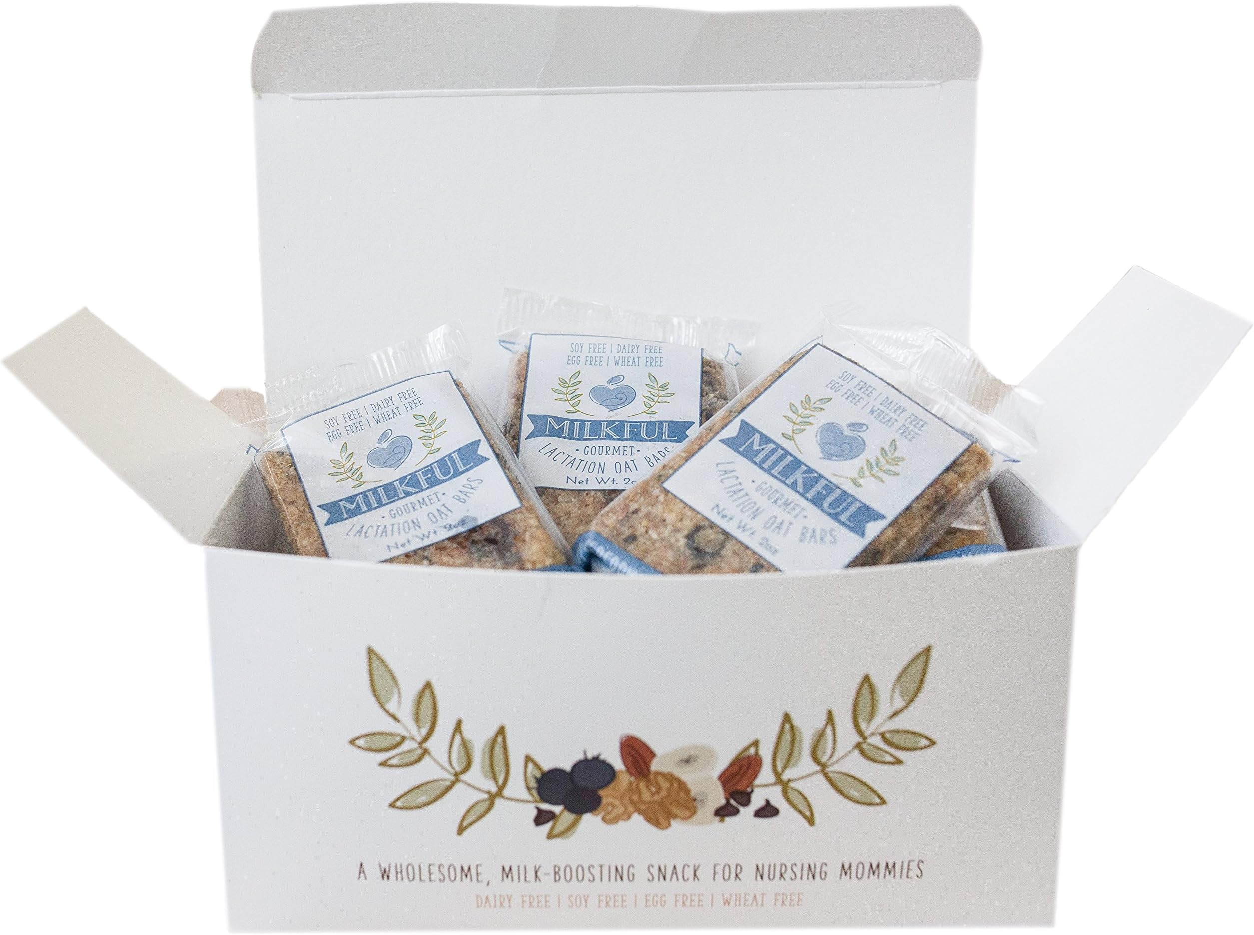 MILKFUL Lactation Bars, wholesome & delicious snack to increase breast milk supply. 12 Bars. (Dairy Free, Egg Free, Soy Free, Wheat Free) (Blueberry Almond Coconut)