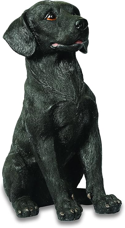 42 dog crate dimensions