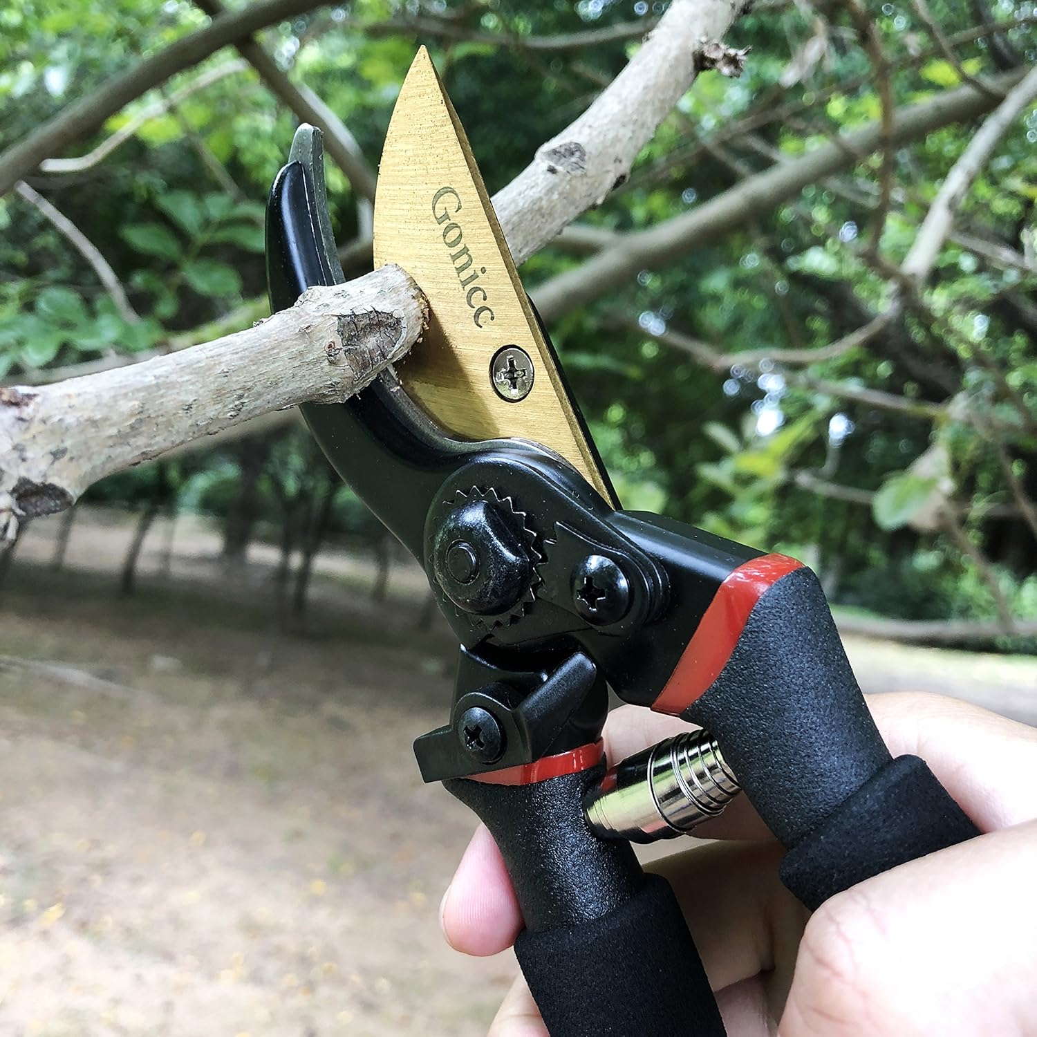 gonicc 8" Professional Premium Titanium Bypass Pruning Shears (GPPS-1003), Hand Pruners, Garden Clippers. : Garden & Outdoor