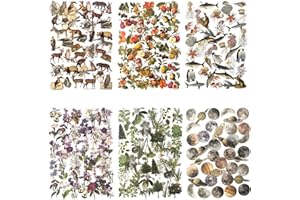 Maxleaf 240PCS Waterproof Flowers Leaves Animals Plants Nature Stickers for Art Journaling Planners Scrapbook DIY Crafts Decoration, 6 Series Nature Theme Stickers Set