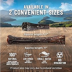 ZIWI Venison Deer Half Shank – 2-in-1 Dog Bone