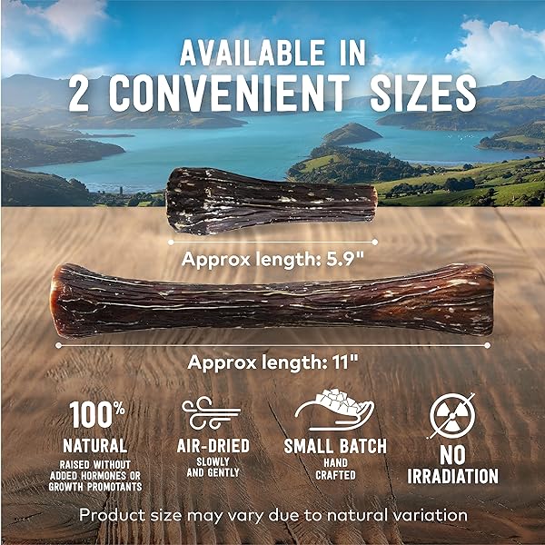 ZIWI VENISON DEER FULL SHANK – 2-IN-1 DOG BONE CHEW TREAT WRAPPED IN BEEF ESOPHAGUS – ALL NATURAL, AIR-DRIED