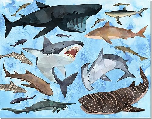 Amazon Com Shark Decor Wall Art Kids Bedroom Bathroom Print