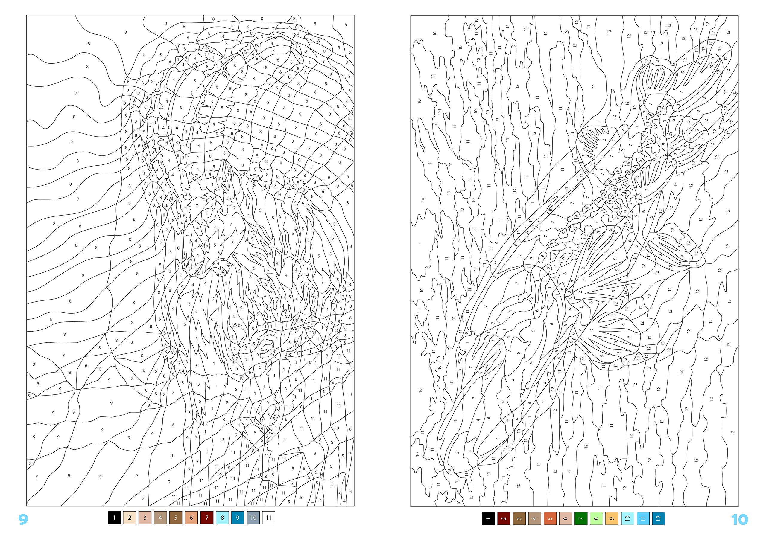100パズルぬりえ 7世界の動物 アートセラピーシリーズ ローラン ルリエ ローラン ルリエ 本 通販 Amazon