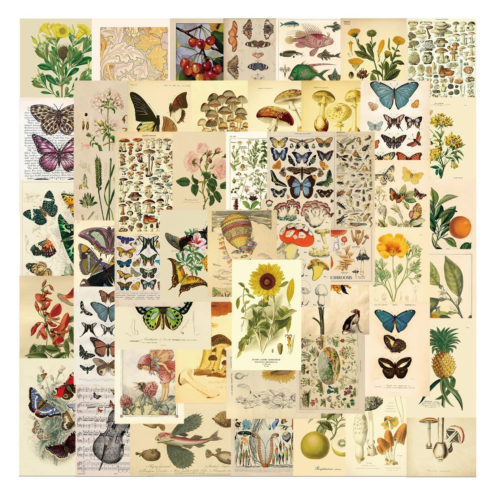 50 Pcs Vintage Butterfly Stickers for Kids Teens Adults Boys Girls Gift,Stickers Pack for Laptop,Skateboard,Luggage,Car,Bike, Cup,Computer,Water Bottle Decor,Butterfly Vinyl Waterproof Sticker Decals