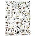 Vintage Insect Poster Print - Entomology Identification Reference Chart Volume 1 (LAMINATED, 18" x 24")