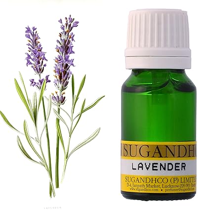 SUGANDHCO Lavender Essential Oil (10 ml)