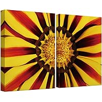 SIGNWIN Canvas Wall Art Neon Yellow, Red and Black Gazania Kiss African Daisy Petals Botanical Plants Photography Minimalism Modern Closeup for Living Room, Bedroom, Office - 16