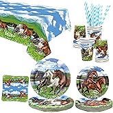Horse Party Supplies - Horse Party Tableware - Dinner Plates Desserts Plates Cups Napkins Tablecover Straws for Horse Racing Cowboy Western Boy Birthday Party Supplies Decorations, Serves 20 (20)