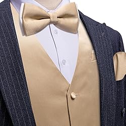 Barry.Wang Mens Champagne Suit Vest Bow Tie Set