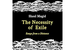 The Necessity of Exile: Essays from a Distance
