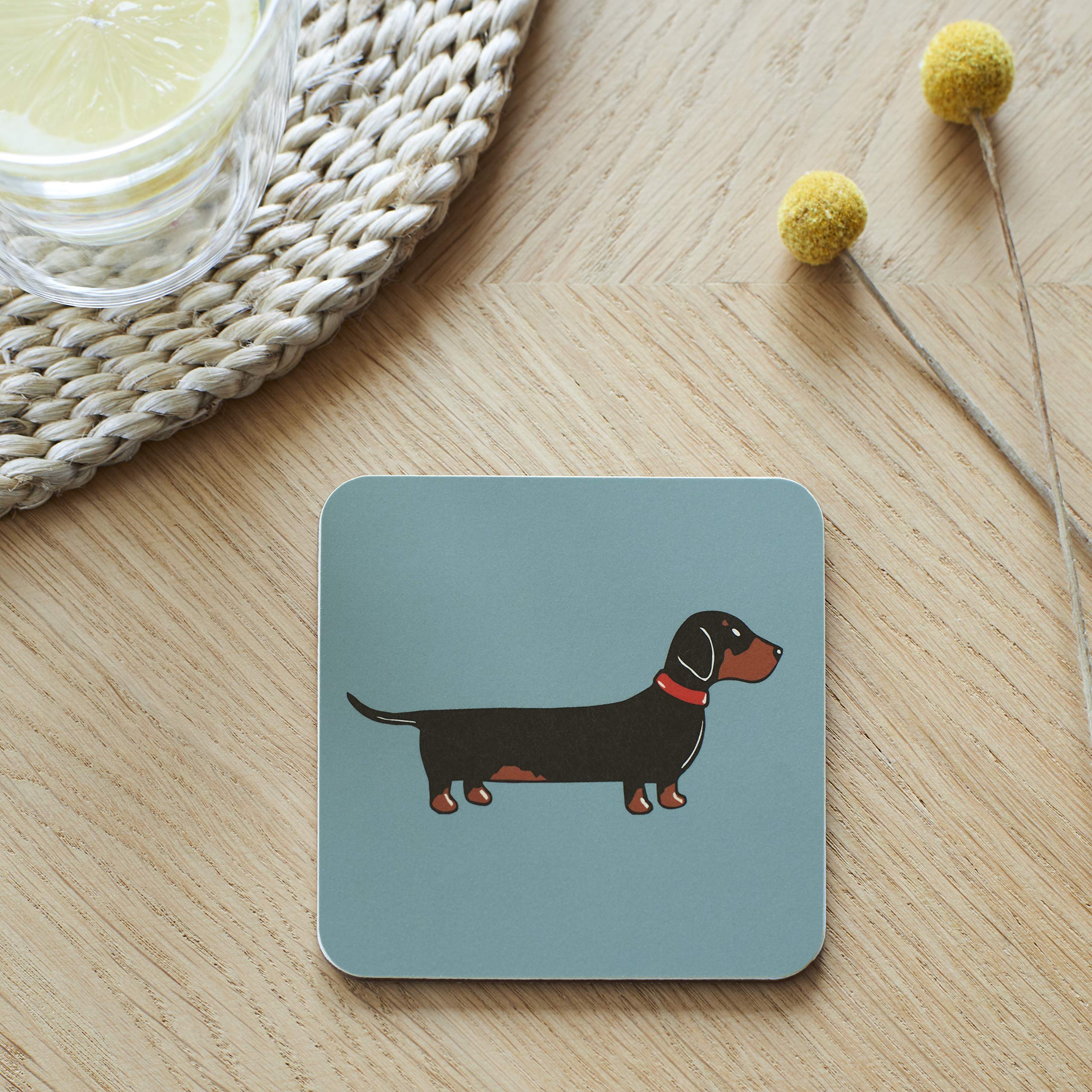 Sweet William Dachshund/Sausage Dog Coaster