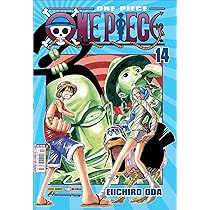 One Piece Vol. 13 | Amazon.com.br