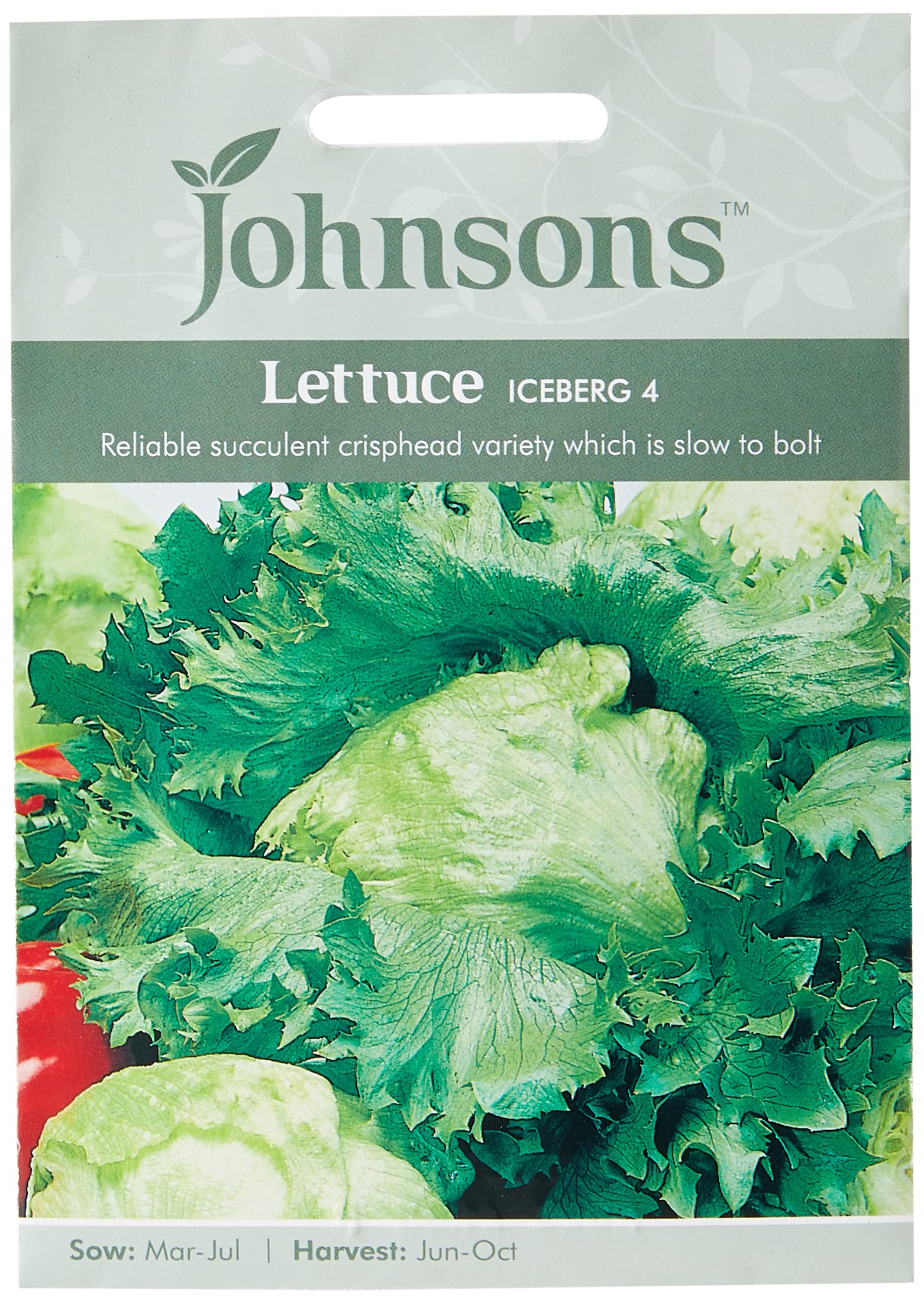Johnsons Lettuce Iceberg 4