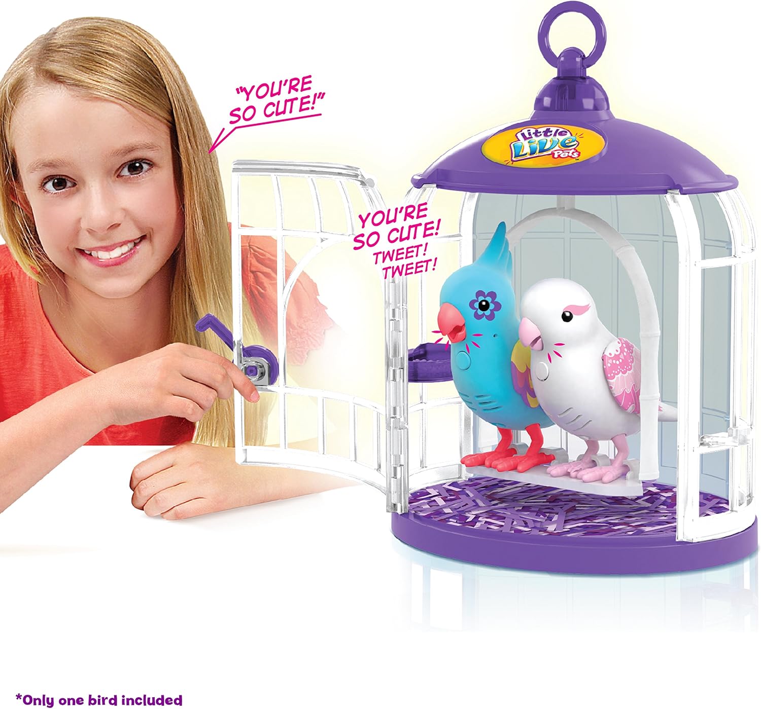 little live pets bird amazon