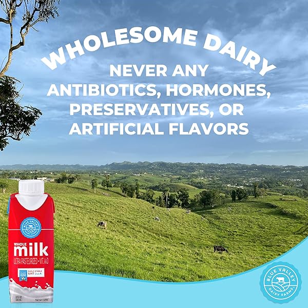 BLUE VALLEY SHELF STABLE WHOLE MILK BOXES WITH VITAMIN D – NO REFRIGERATION NEEDED 8 OZ SINGLES (24 PACK) KOSHER CHOLOV YISROEL, UHT PASTEURIZED TETRA PAK CARTON.