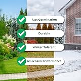A1Lawn A1 Lawn Shade & Drought Tolerant Grass Seed 5kg UK Harvested view 2