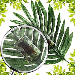 12 Pcs Insect in Resin Specimen Bugs Collection