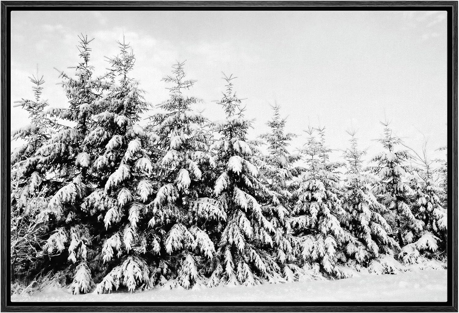 Wall Décor - wall26 Framed Canvas Print Wall Art Snow Covered Trees in The Winter Forest Floral Nature Photography Realism Expressive Dark Black and White for Living Room, Bedroom, Office - 24