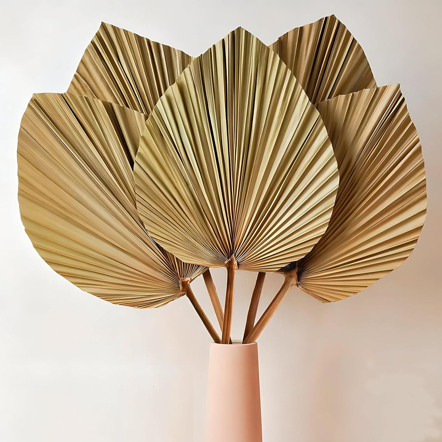 Dried & Preserved Flora - MAQ's 5 Stems Natural Dried Palm Leaves are Perfect for Palm Leaf Décor, Boho Decor, Home Decor, Wedding Table Decor. Combine with Boho Flowers, Pampas Leaves and Dry Flowers to Make Wedding Bouquet.