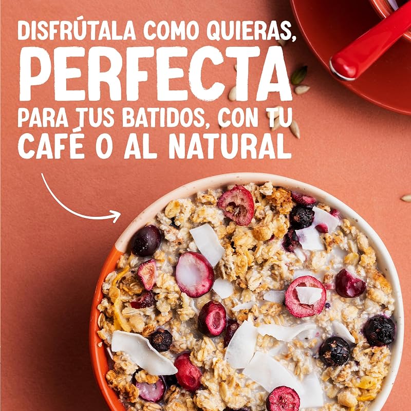 Bebida vegetal de coco sem açúcar alpro 8x1l