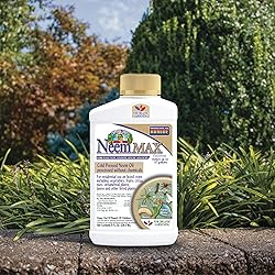 Bonide Captain Jack's Neem Max, 8 oz Concentrated