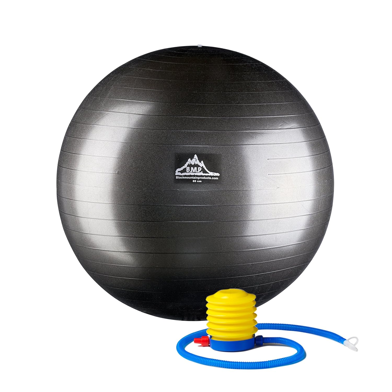 65-Centimeter Black Mountain Products PSPURP Professional Grade Stability Ball 1000lbs Anti-Burst 2000lbs Static Weight Rated