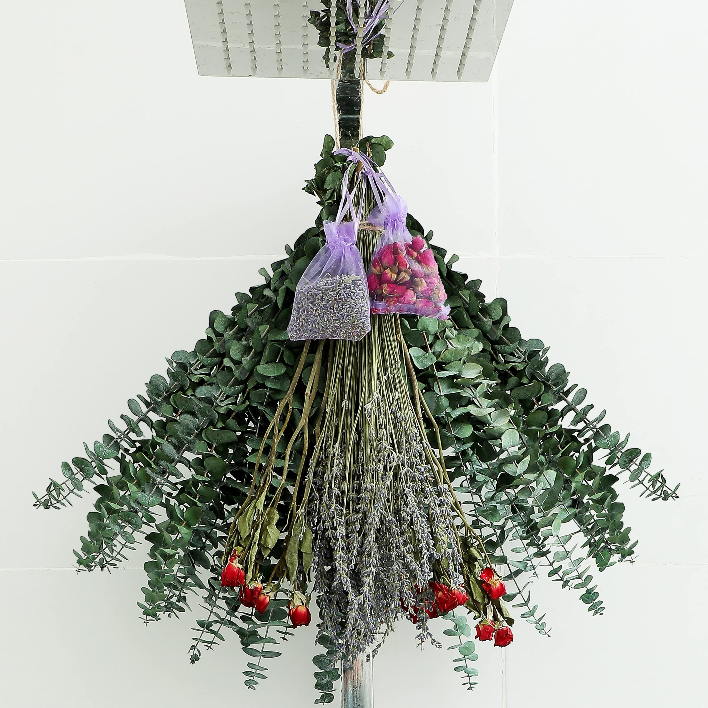 Mua Real Eucalyptus for Shower Hanging Dried Eucalyptus for Shower