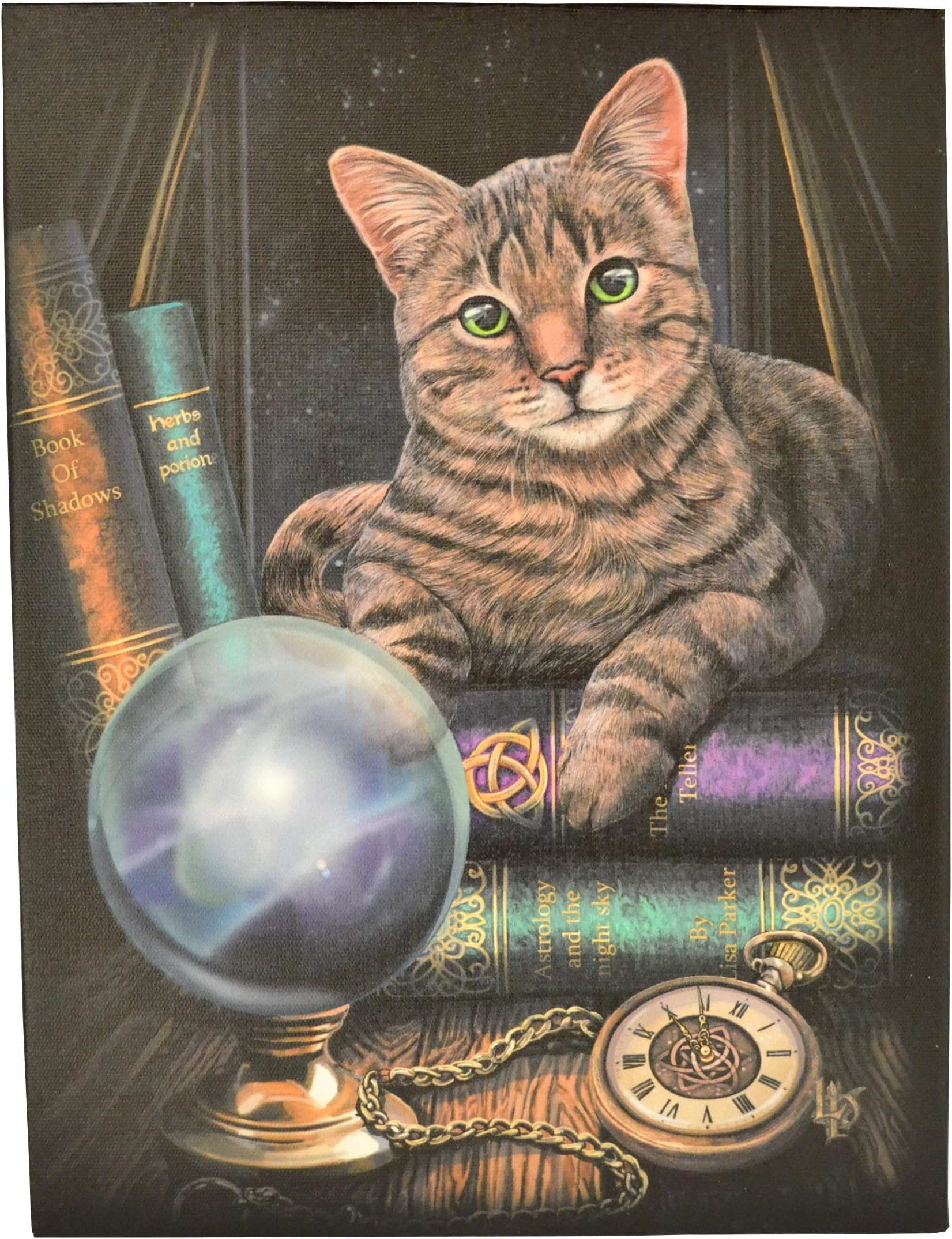 Magical Gift Store Canvas Plaque | Fortune Teller by Anne Stokes | 1 Piece | Multicoloured | 19 cm x 25 cm
