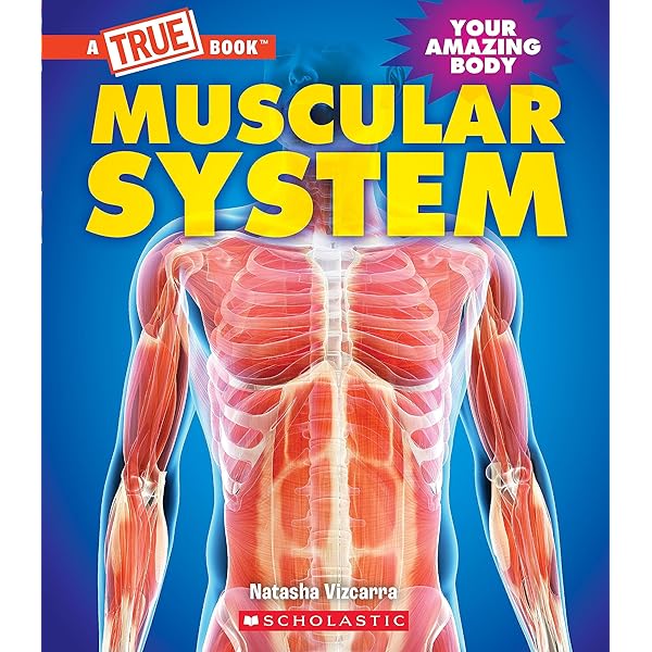 Survive! Inside the Human Body　VOL2.VOL3 Survive! Inside the Human Body, Vol. 2: The Circulatory System