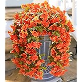 HyeFlora Bougainvillea Artificial Hanging Flowers Plants for Outdoors Decoration, 2pcs Faux Bougainvillea Vines Orange Fake Flowers Realistic UV Resistant Silk Flowers for Outside Planter Yard Porch