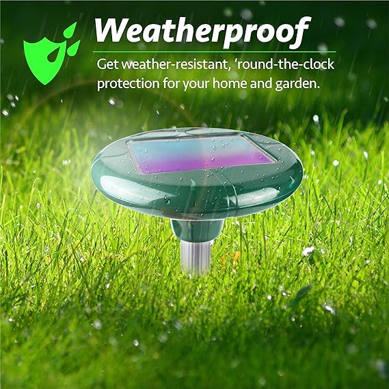 Amazon.com : Livin Well Solar Mole Repellent Yard Stakes - 4pk Ultrasonic Outdoor Pest Control Rodent Repeller Spikes, Get Rid of Moles Voles and Gophers ...