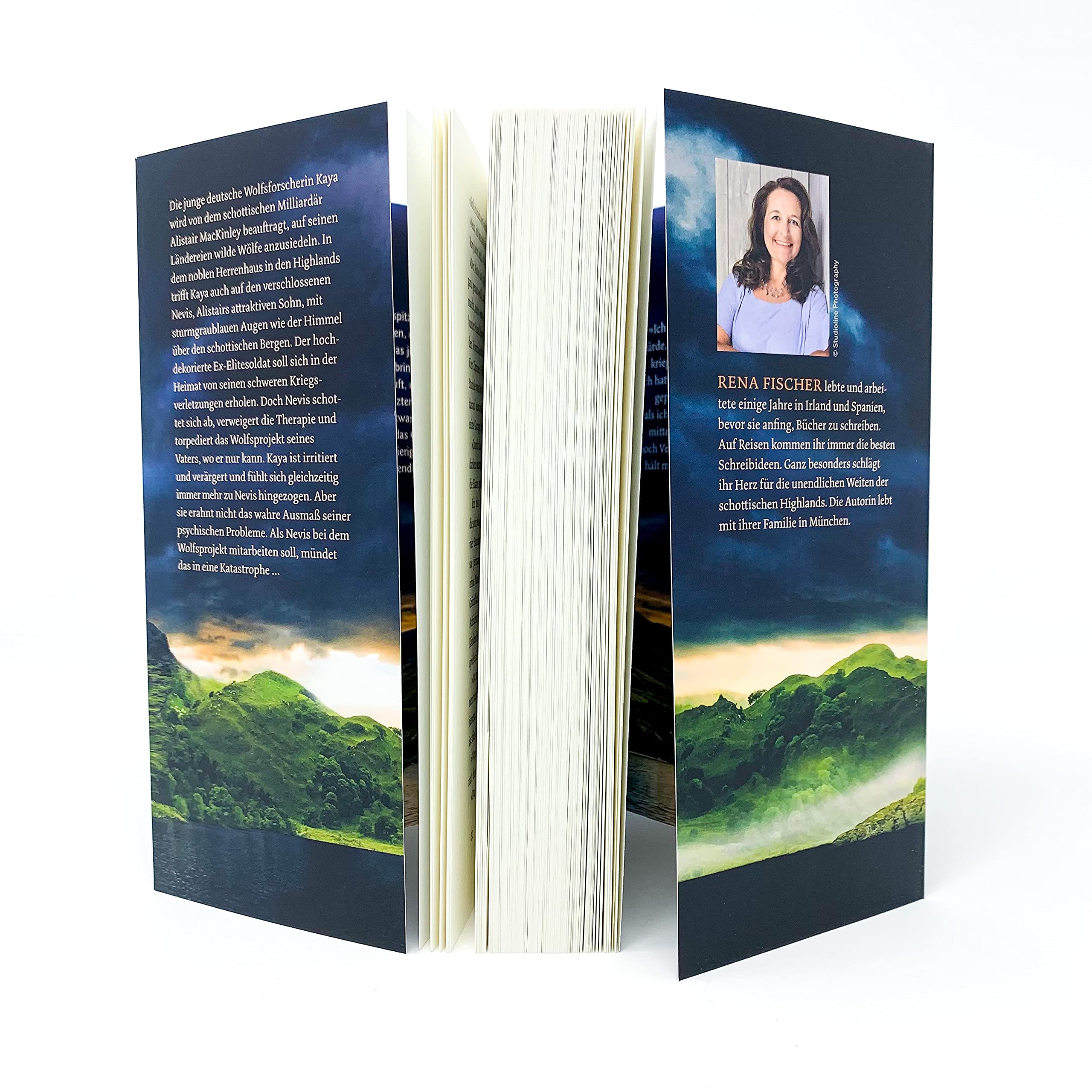 Das Lied Der Wolfe Roman Fischer Rena Amazon De Bucher