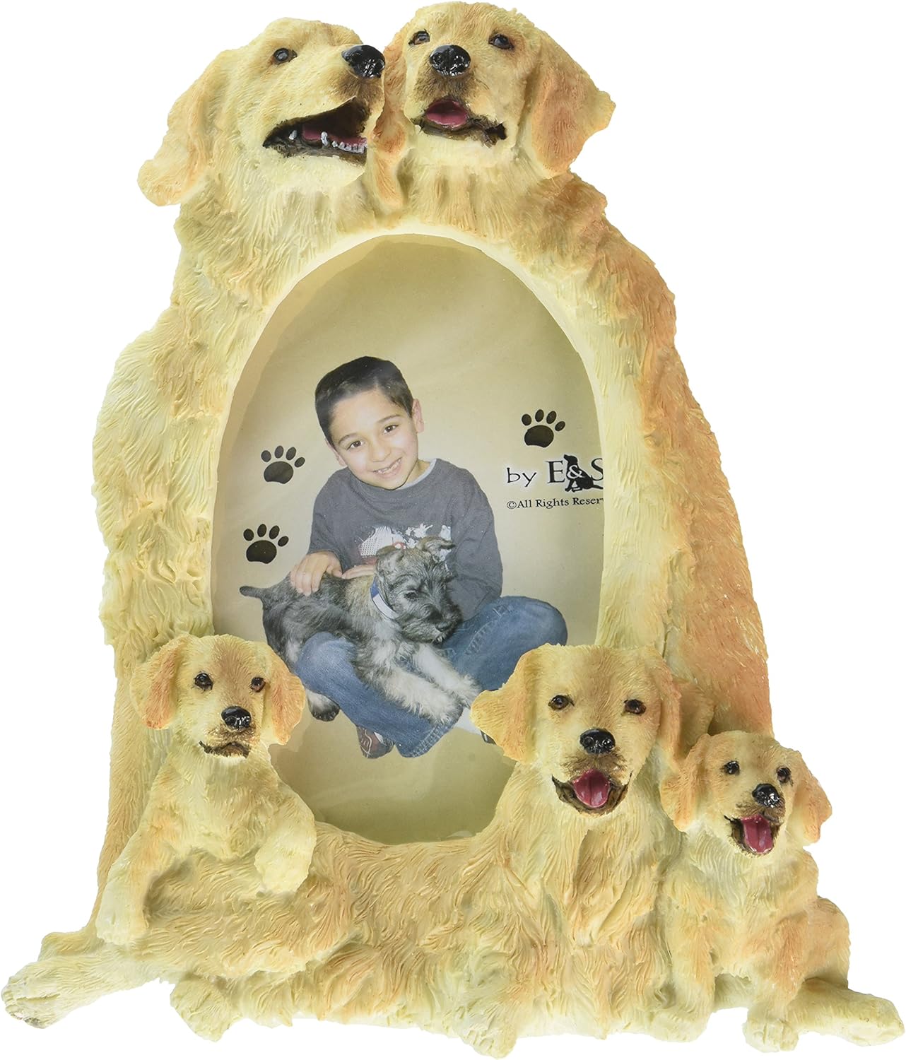 golden retriever picture frame