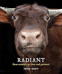 Radiant: Farm Animals Up Close and Personal