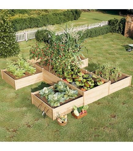 Amazon.com: AMERLIFE 12x12x2 FT Wooden Raised Garden Bed, H-Shaped
