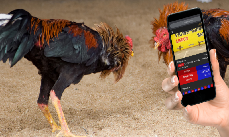 Online Sabong Ph Amazon Com Appstore For Android