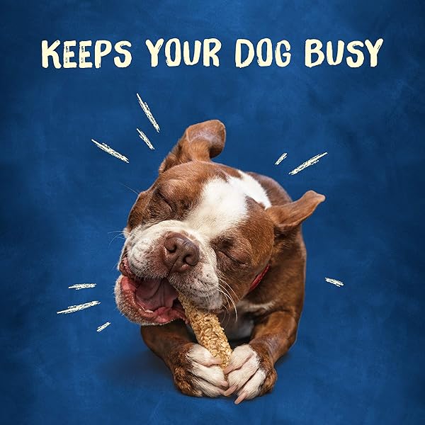 PURINA BUSY RAWHIDE SMALL/MEDIUM BREED DOG BONES, CHEWNOLA WITH OATS & BROWN RICE – 10 CT. POUCH