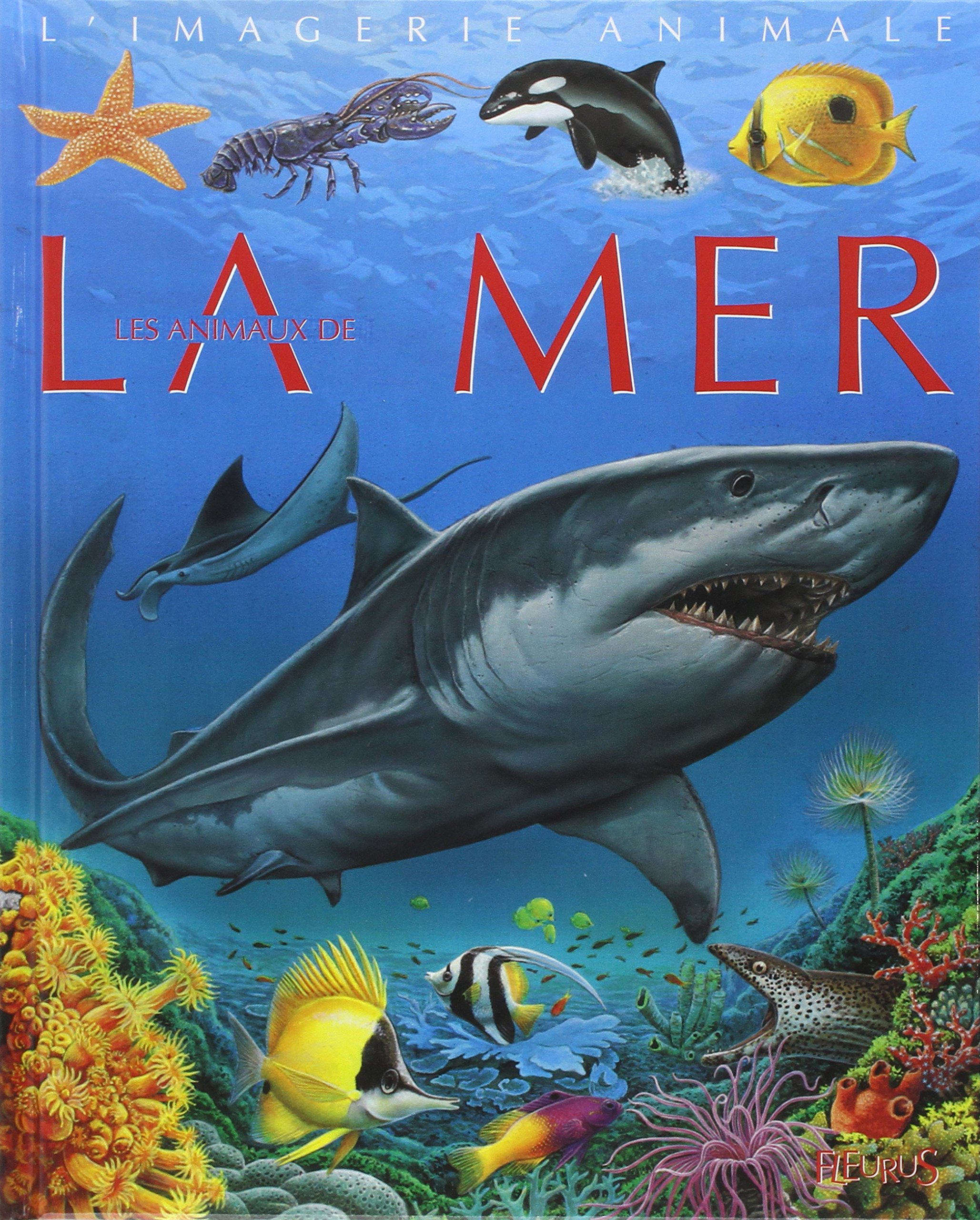 Animaux De La Mer La Grande Imagerie French Edition Beaumont Emilie Amazon Com Books