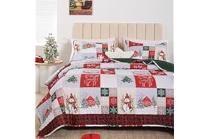 FROZZUR Christmas Quilt Set Queen Size - Patchwork Bedding with Wreaths and Snowman, Lightweight Soft Microfiber Winter Quilt Bedspread Coverlet - Holiday Decoration and Gift for Family Bedroom