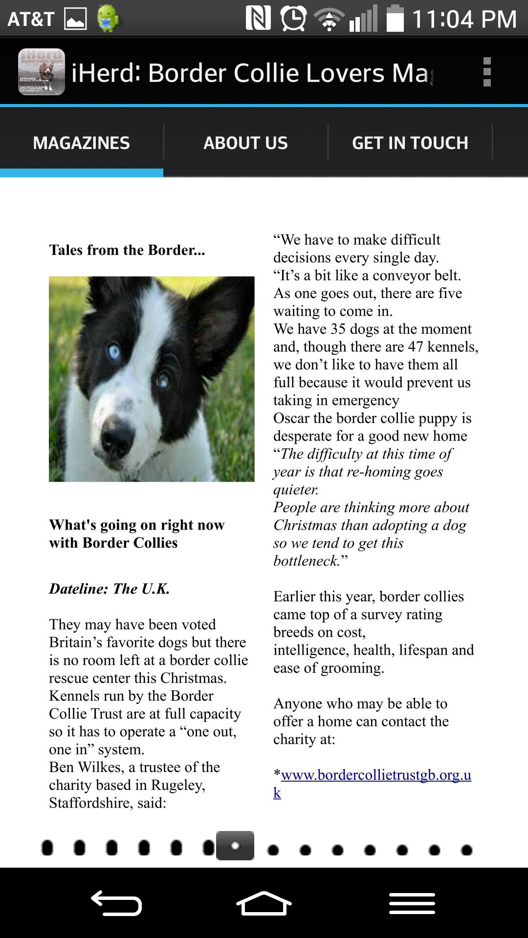 iHerd:Border Collie Lovers magazine