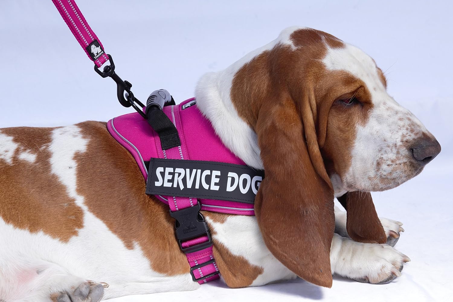 Working Dog Vest with 2 Therapy Dog and 2 Service Dog