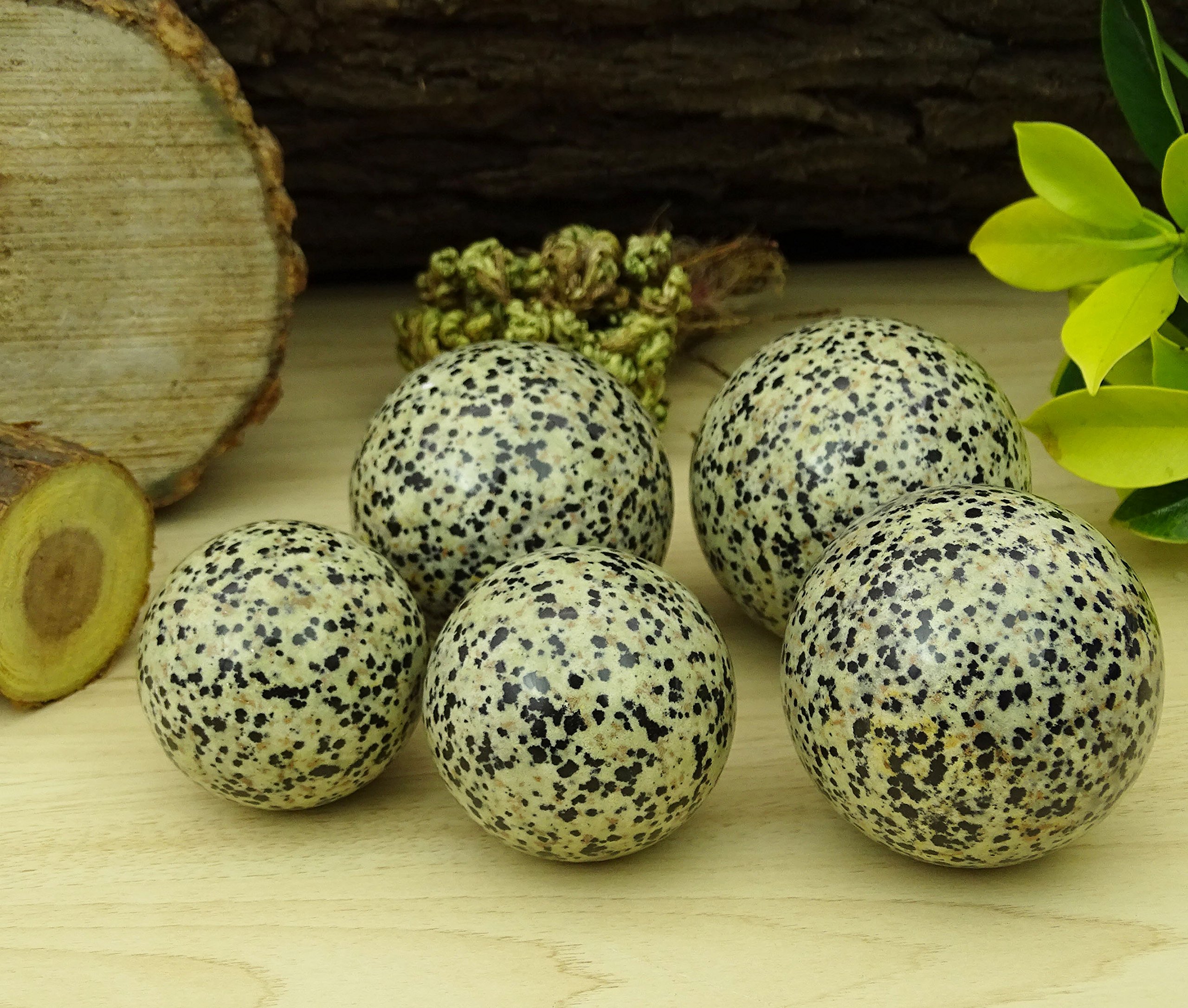 Reikiera Dalmation Sphere Stone Ball With Ring Stand Aura Balancing Jasper Crystal Healing- Choose Size