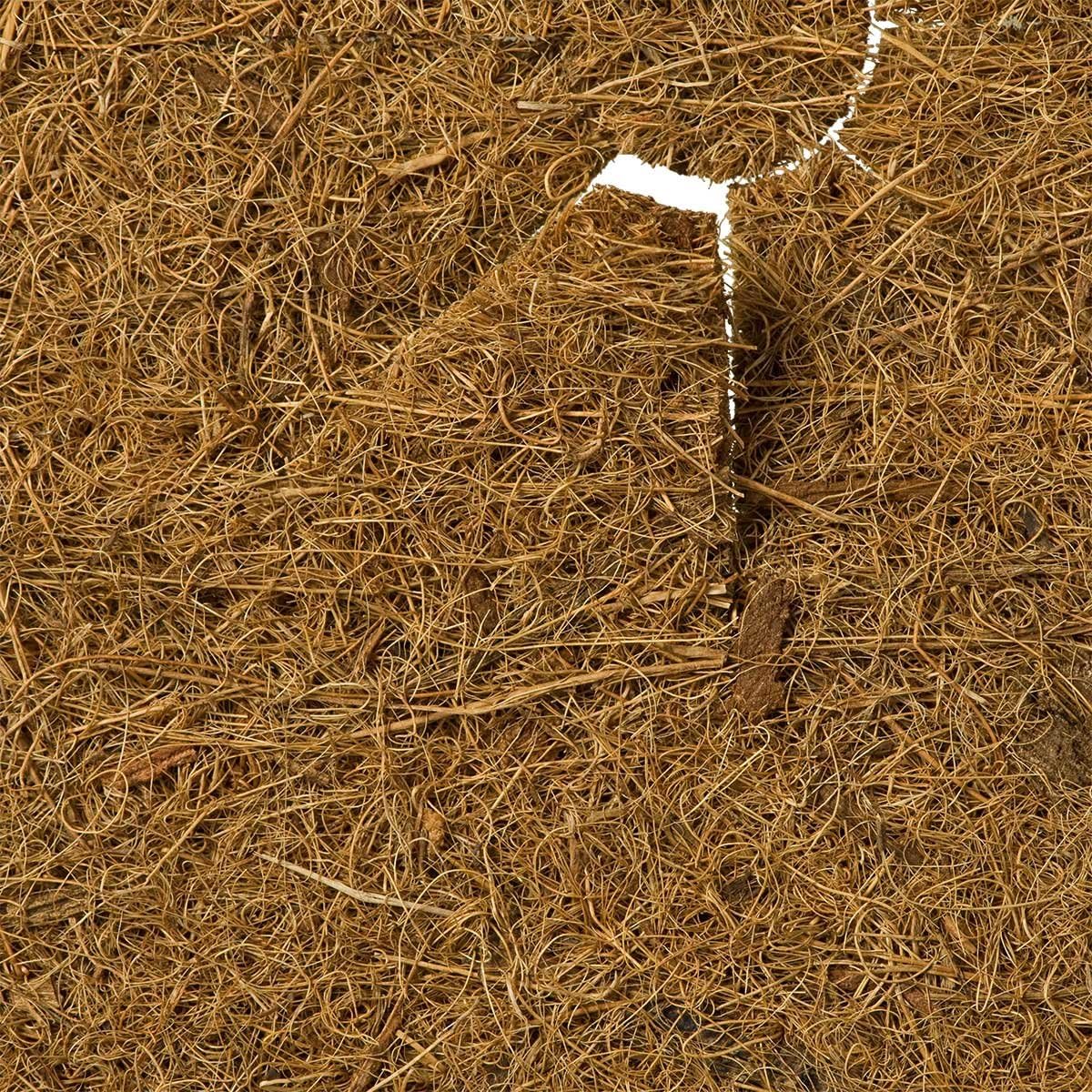 HaGa® Kokosscheibe Winterschutz für Topfpflanzen Kübelabdeckung S Ø25cm