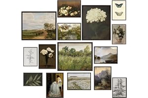 LANCHI95 15 Pcs Vintage Wall Art Decor, Vintage Posters for Room, Vintage Art Prints, Moody gallery wall art, Wall Print for Bedroom, Eclectic French Country Botanical Painting (Unframed)