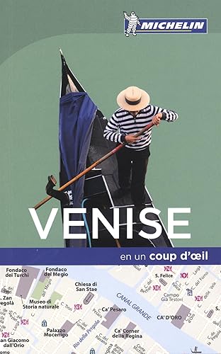 Download Venise en un coup d'oeil PDF